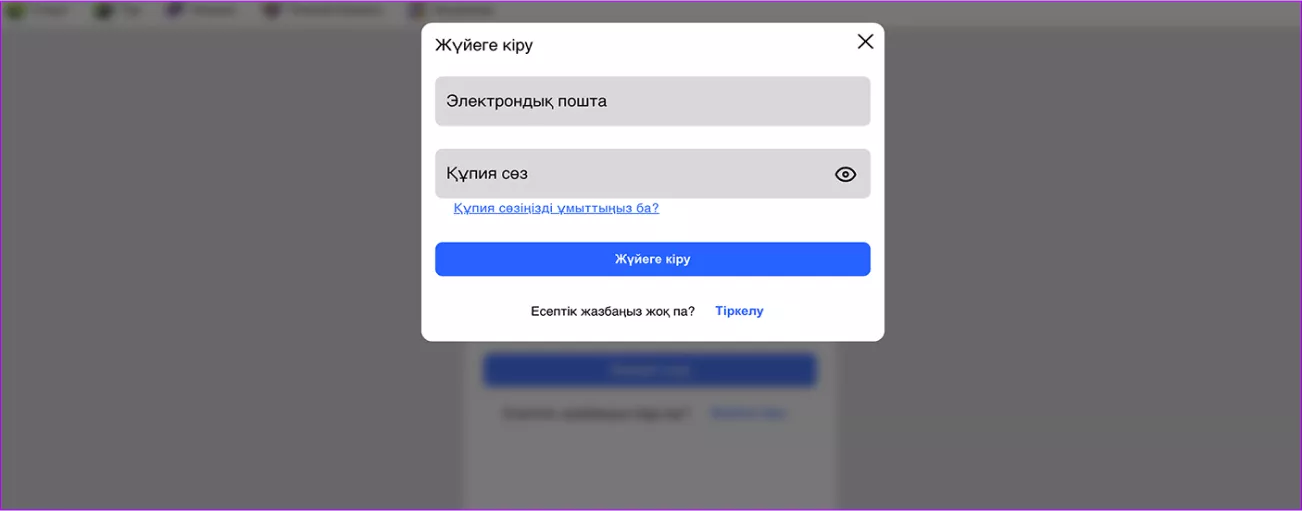 Форма входа Punch
